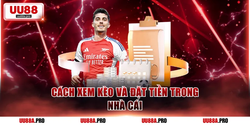 Cách xem kèo và đặt tiền trong nhà cái