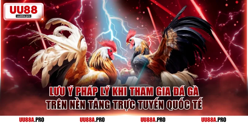 Lưu ý pháp lý khi tham gia đá gà trên nền tảng trực tuyến quốc tế