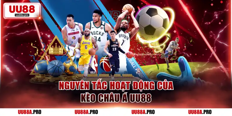 Nguyên tắc hoạt động của kèo châu Á UU88